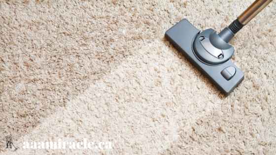 aaa miracle professional carpet cleaning aaa miracle professional carpet cleaning