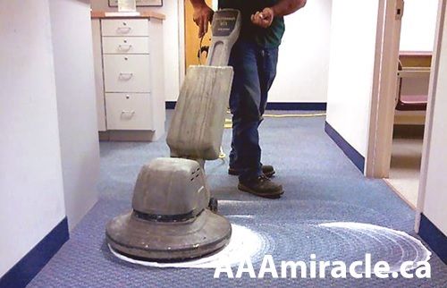 stand up carpet cleaner machine aaa miracle