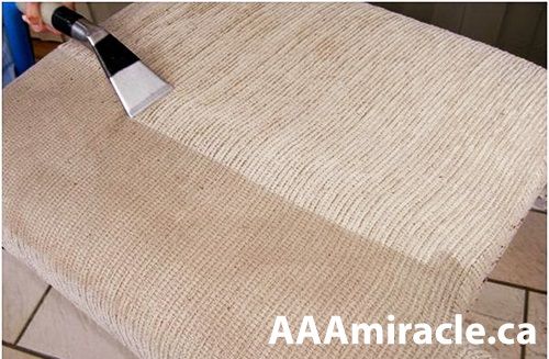 steam cleaning upholstery machine service