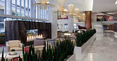 Gas Fireplace cleaning in Vancouver Gas Fireplace cleaning in Vancouver